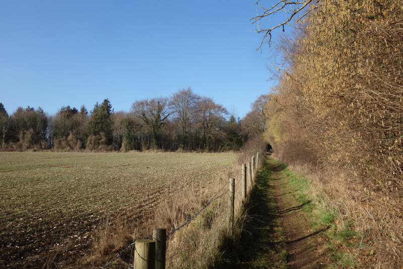 Path towards Northington Belt © Des Blenkinsopp cc-by-sa/2.0 ...