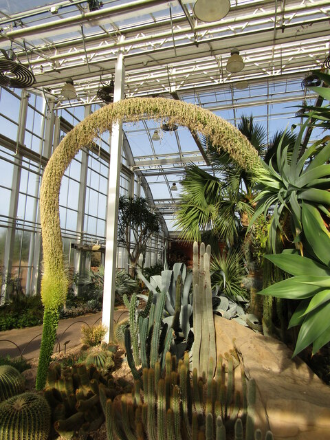 Rhs Wisley The Glasshouse © Colin Smith Cc By Sa20 Geograph