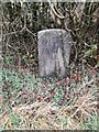 Milestone - Carmarthen 10