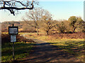 Croxley Common Moor