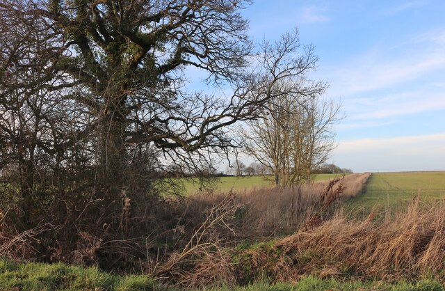 Field in Netherton © David Howard :: Geograph Britain and Ireland