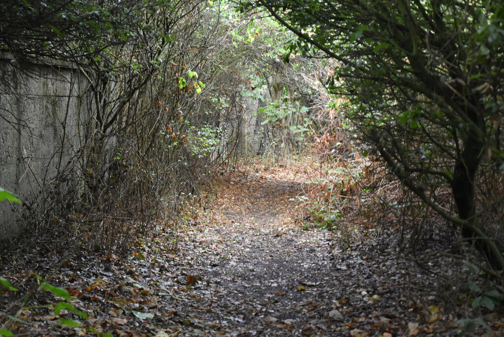 suffolk-coast-path-n-chadwick-cc-by-sa-2-0-geograph-britain-and