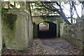 Sizewell Hall tunnel