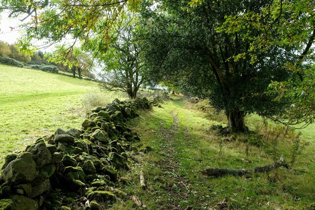 Offa's Dyke Path south of Craignant