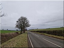 SU4032 : Grass verge on the road from Up Somborne by Basher Eyre
