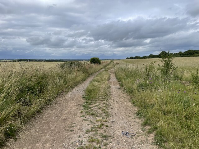 Track towards Borough Farm © Fernweh cc-by-sa/2.0 :: Geograph Britain ...