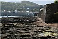 Kingsand Foreshore