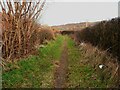 Footpath around the edge of the Ouzewell Lane housing estate