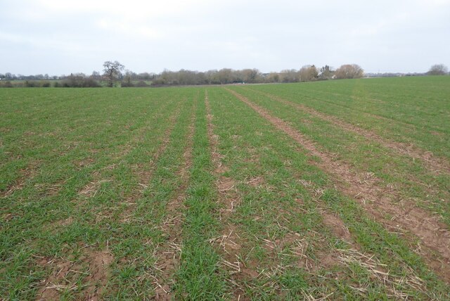 Arable field © Philip Halling cc-by-sa/2.0 :: Geograph Britain and Ireland