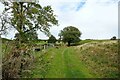 SJ2533 : Offa's Dyke Path West of Selattyn by Jeff Buck