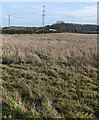 Distant pylon viewed from Morton, South Gloucestershire