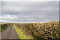 Road at Sheepfields Farm