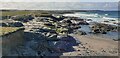 Rocks towards Treyarnon, Booby