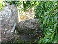 Stone Stile, Alveston