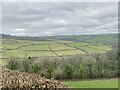 Field and woodland above Gwendraeth Fach