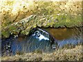 Weir on River Medlock