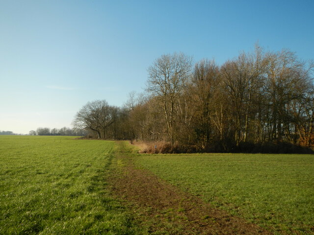 Ring Grove © Paul Franks :: Geograph Britain and Ireland