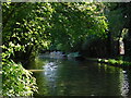 Grand Union Canal, Apsley