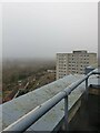 Irving Court from Riversley Court roof