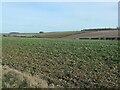 Farmland above the unseen Long Dale