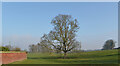 A view from Ripley Road (B6165), Nidd