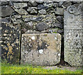 Gravestone, Larne