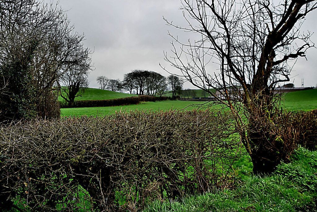 Clogherny Glebe Upper © Kenneth Allen Cc-by-sa/2.0 :: Geograph Britain ...