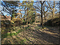 Haywards Heath Cemetery - Perimeter Nature Walk