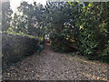 Haywards Heath Cemetery - Perimeter Nature Walk