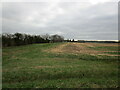 Stubble field and Moss Farm