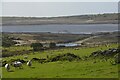 St Neot : Grassy Field & Sheep