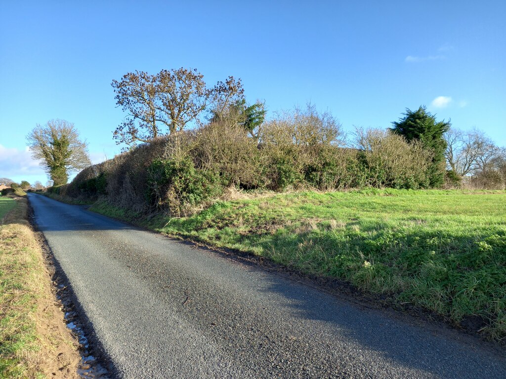 Thormanby, Moor Lane © Mel Towler :: Geograph Britain and Ireland