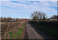 Grove Road towards Grove Farm