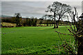 Aghnamoyle Townland