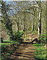 A footbridge on the River Ayr Walk