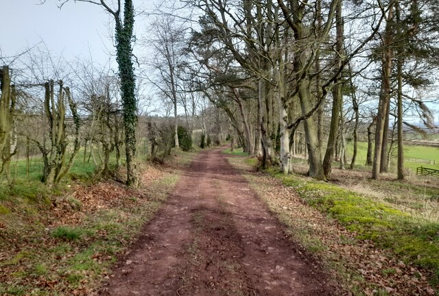 Heading to Newton St Boswells © Colin Kinnear :: Geograph Britain and ...