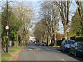 TQ2959 : Bramley Avenue, Coulsdon by Malc McDonald