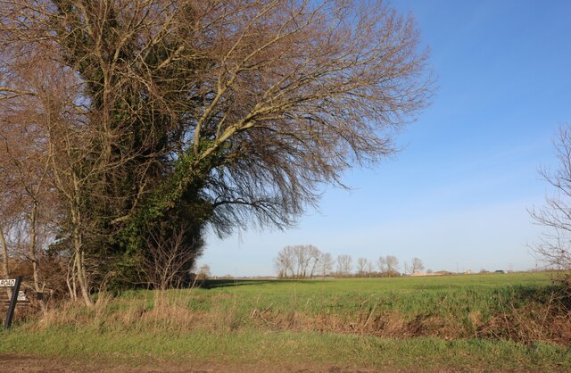 Field by Barford Road, Blunham © David Howard cc-by-sa/2.0 :: Geograph ...