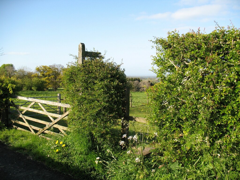 field-gate-and-stile-adrian-taylor-cc-by-sa-2-0-geograph-britain