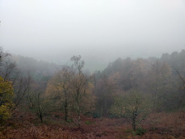 View from Bickerton Hill on a Murky Day
