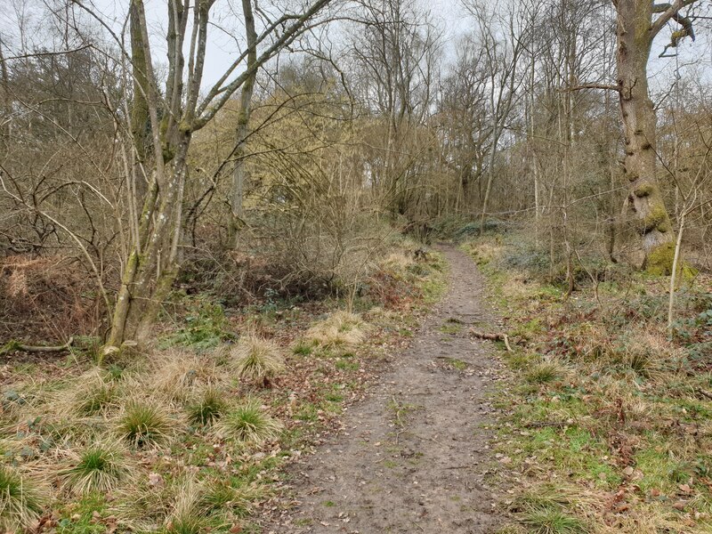 Bowdown Woods wildlife walk © Oscar Taylor cc-by-sa/2.0 :: Geograph ...