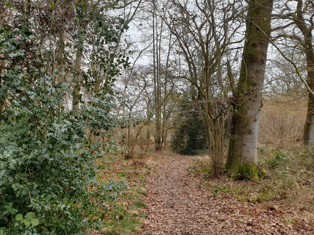 Bowdown Woods wildlife walk © Oscar Taylor cc-by-sa/2.0 :: Geograph ...