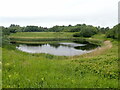 One of the ponds at Ashpits Pond Nature Reserve