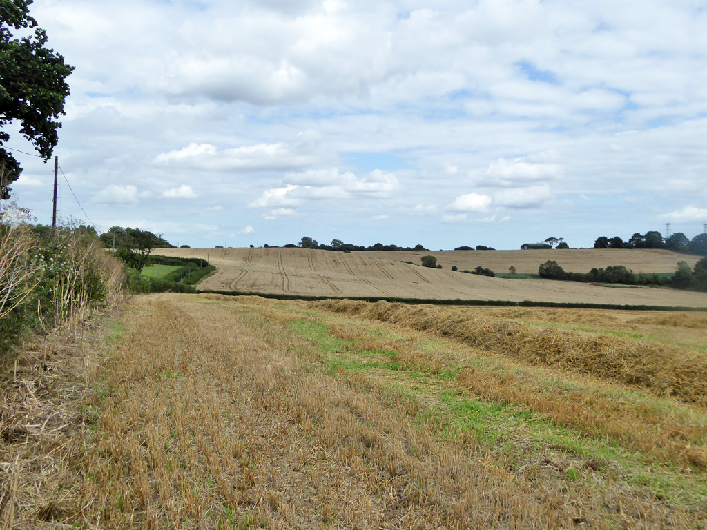 Fields South Of Edwin's Hall Road © Robin Webster :: Geograph Britain 