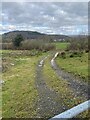 Track leading down to Afon Tywi