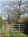 Gated track to Penddaulwyn Fawr