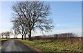 Staploe Road, Wyboston