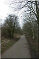 Greenway approaching Low Moor