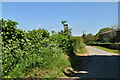 Footpath off Harringe Lane