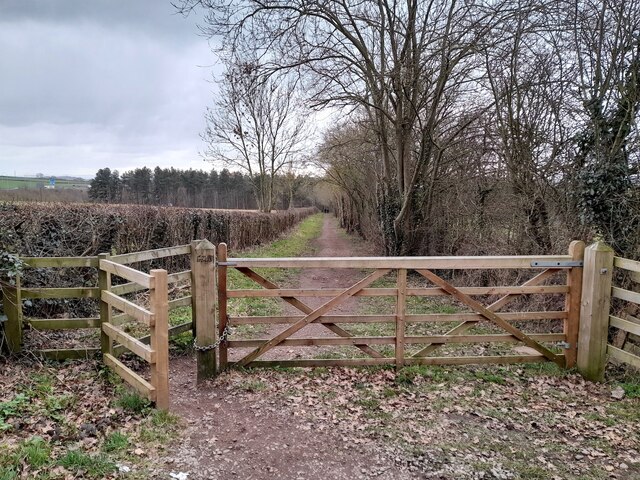 Trackway to Oldmoor Wood